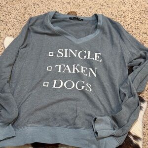 Wildfox Blue V-Neck Sweater